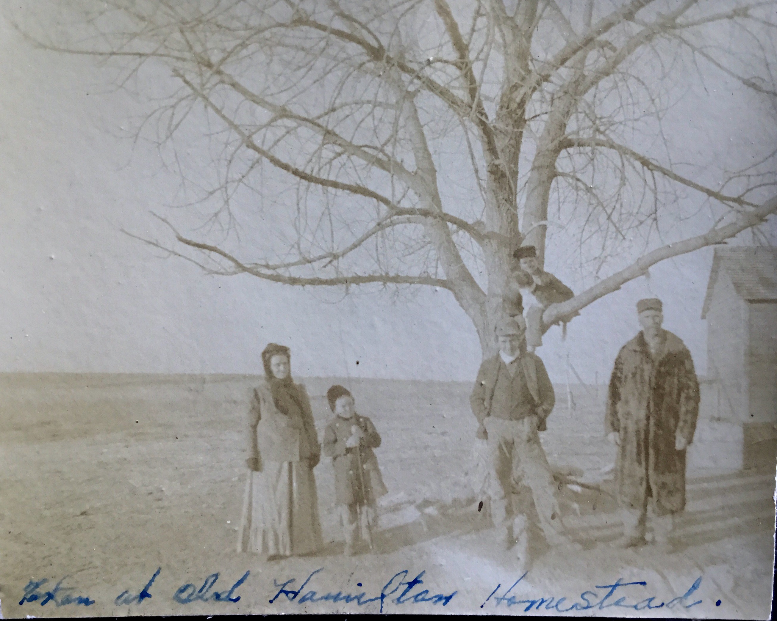 The Hamiltons are Laverne McMichael's great grandparents.  The family crossed the country via covered wagon arriving in NE in 1886 and included their 16 year old daughter Zella, mother of Joyous Viersen Chase.