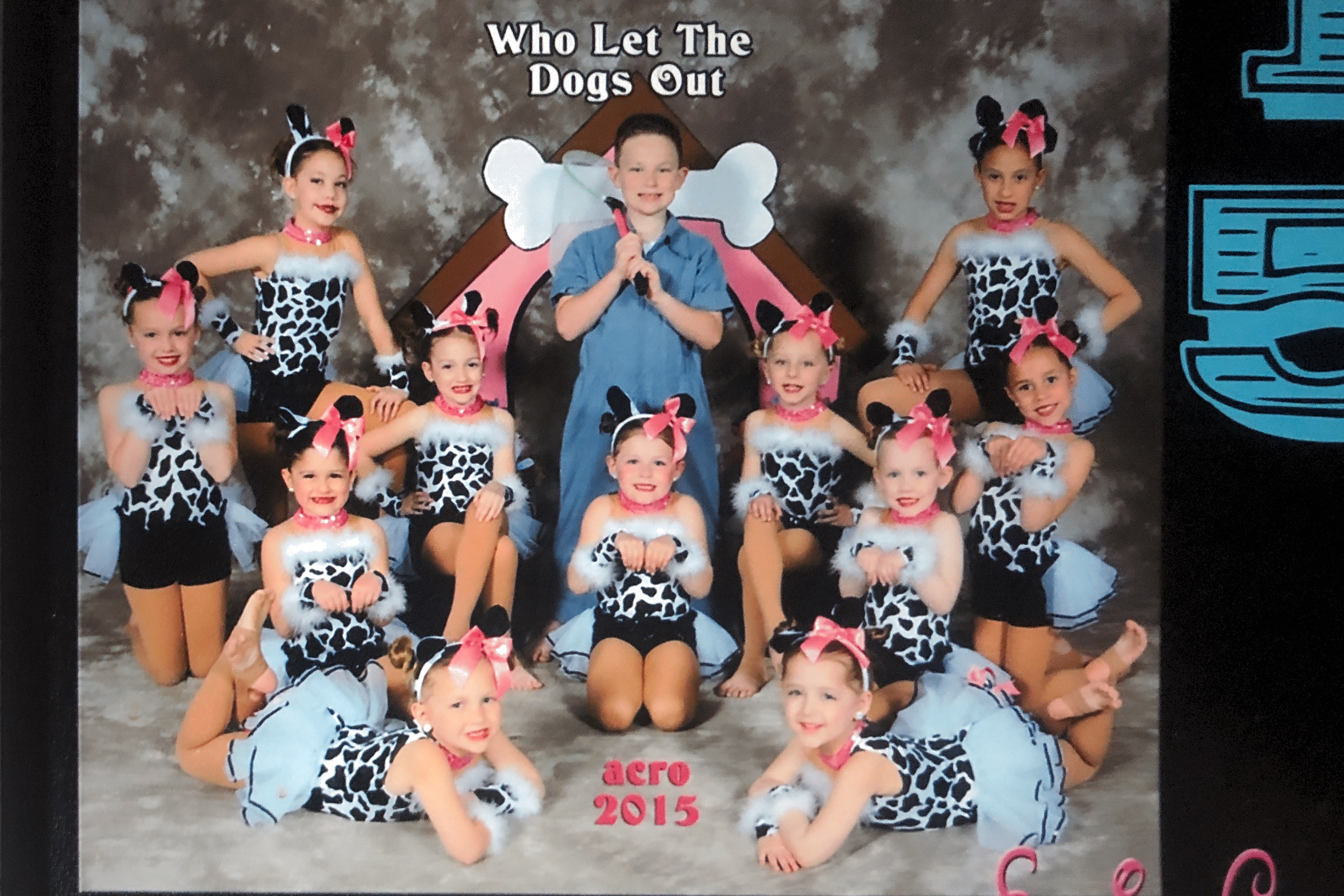 Who let the dogs out empire center of dance 2015