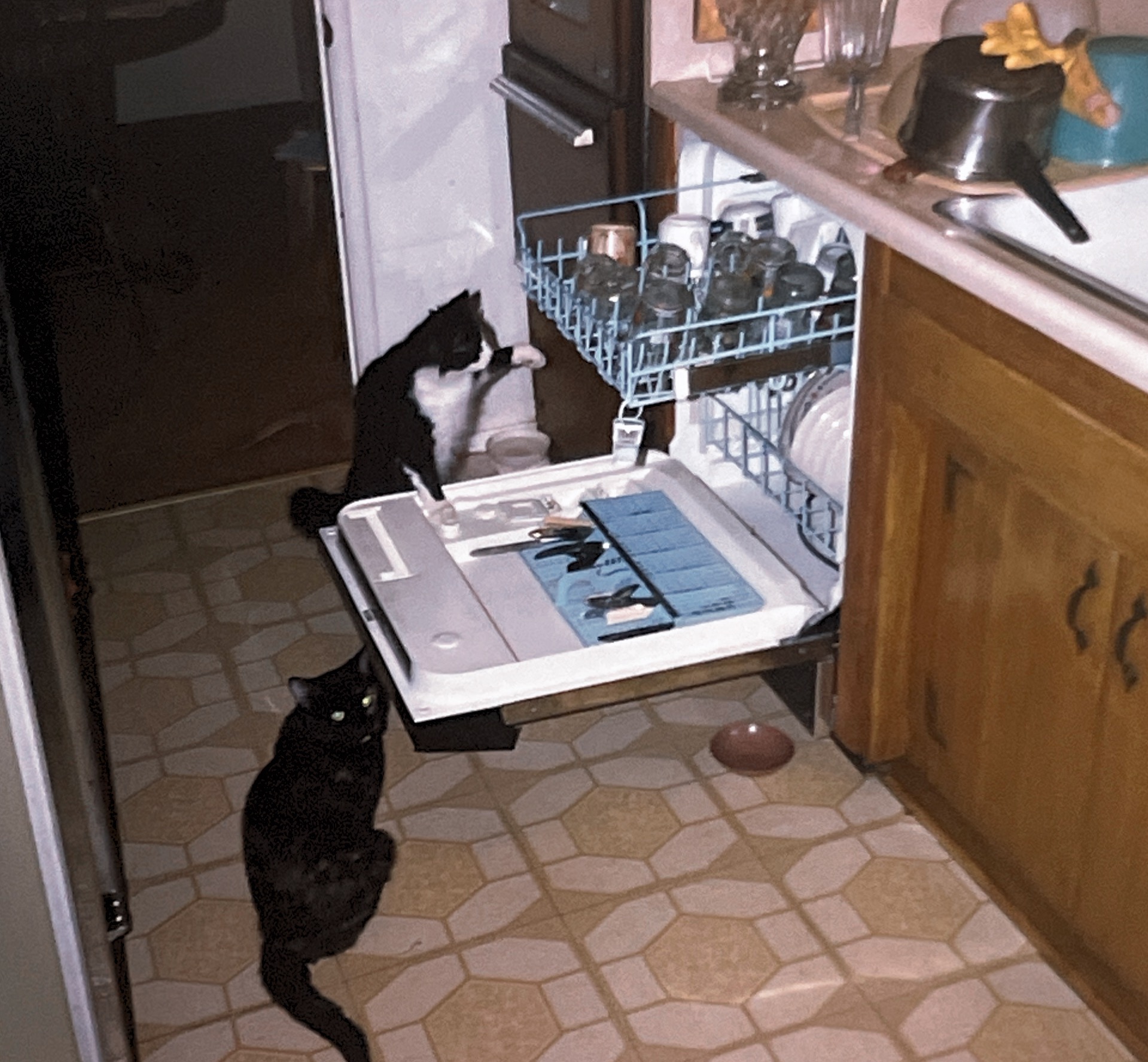 Trying to decide whose turn it is to clean out the dishwasher 1987