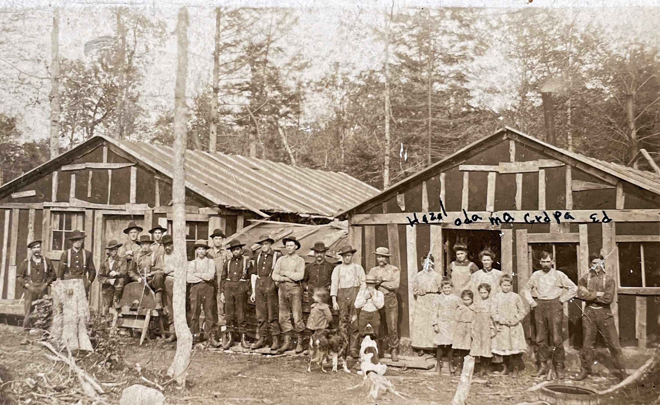Great Great Grandpas houses at Minors camp near Rexton.  Adelphus David Minor, born February 18, 1868, Quebec, Canada. Does September 5, 1927.  1905 - Barn for 5 cows, 12 team horses, dining hall seats 80 men, cooks shanty, office where sold groceries, tobacco, etc. black smith shop where shoes horses, and ice house, chicken coop