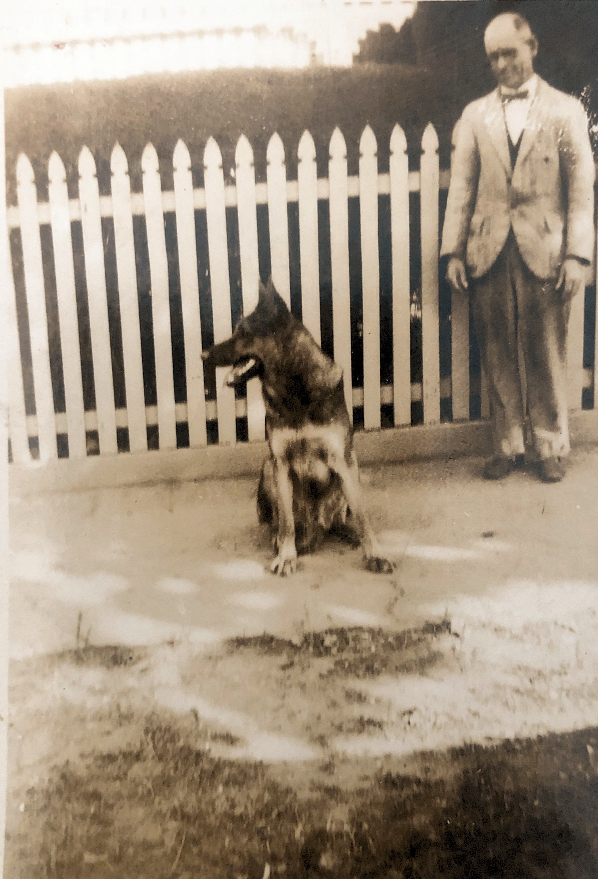 Sydney Le Plastrier with Pat in Richardson St Albert Park 1940ish . Pat belonged to Les Le Plastrier and went to war as a service dog.