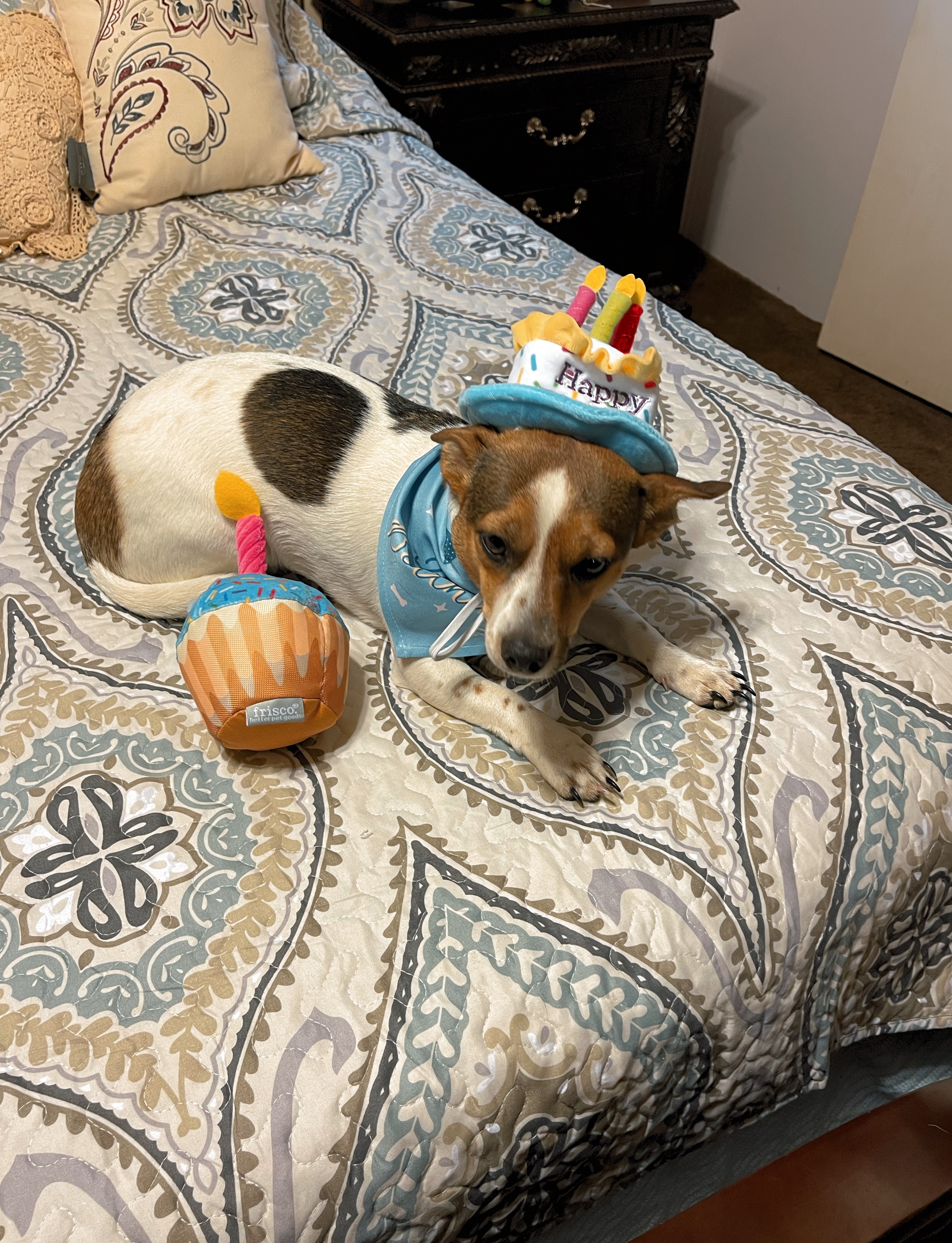 Brody first birthday. May 5, 2021