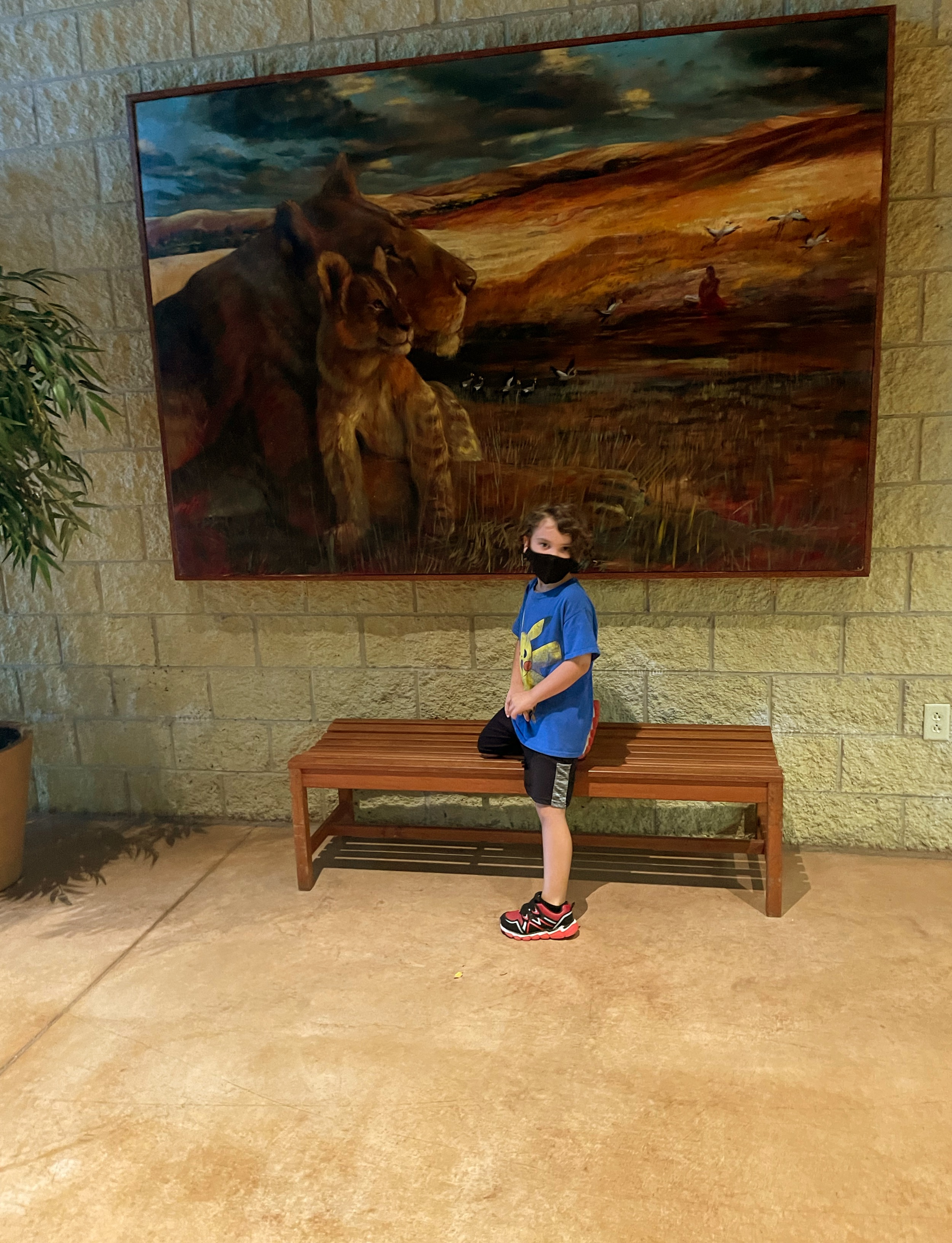 Kellen with a beautiful portrait from  The Lion King Pa took us all to the zoo, a wonderful day
August 2021