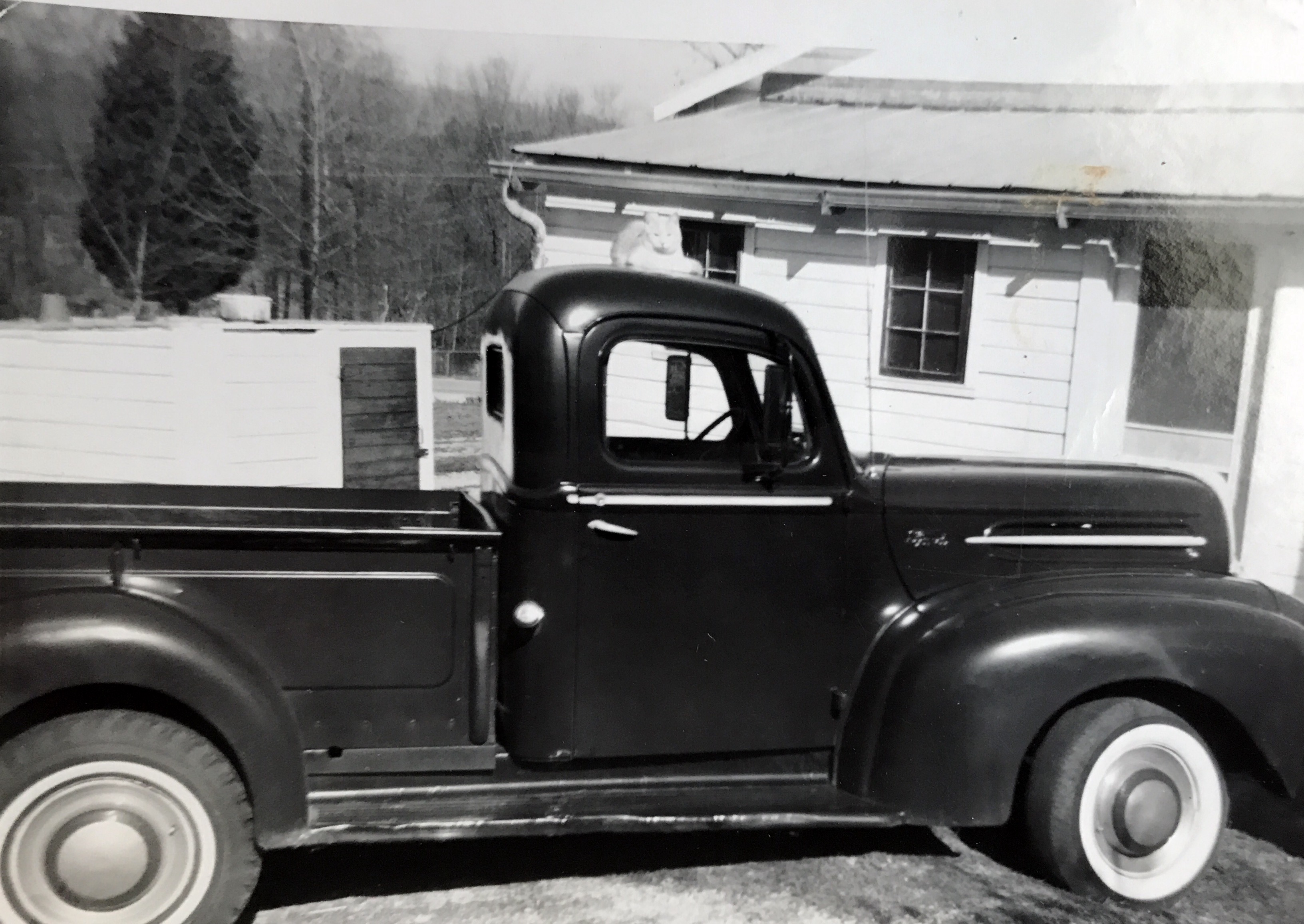 Daddy's 1946 Ford truck 