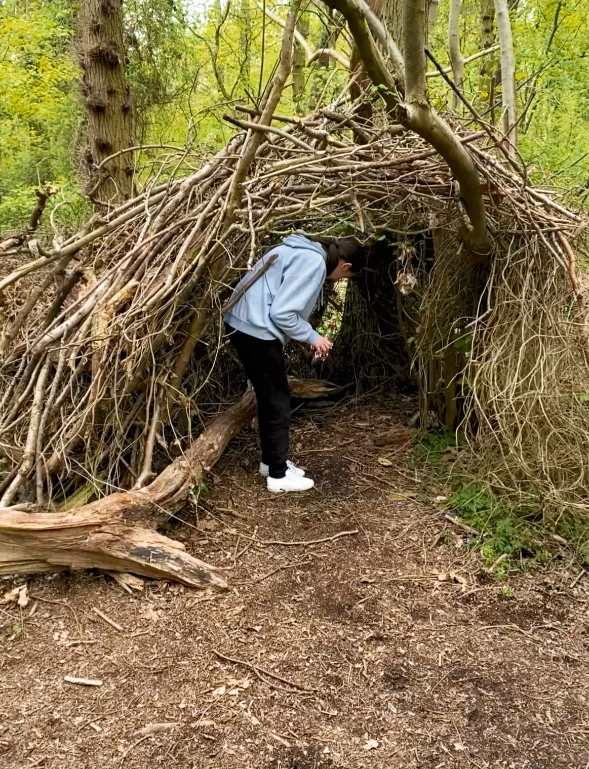 Poppy exploring in Bradley woods may 2021
