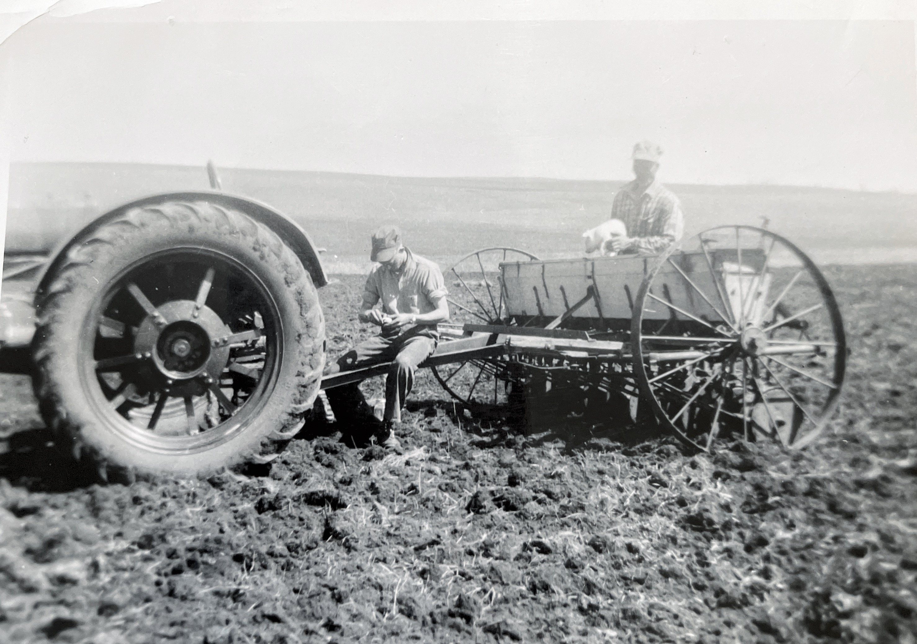 1948 planting flax