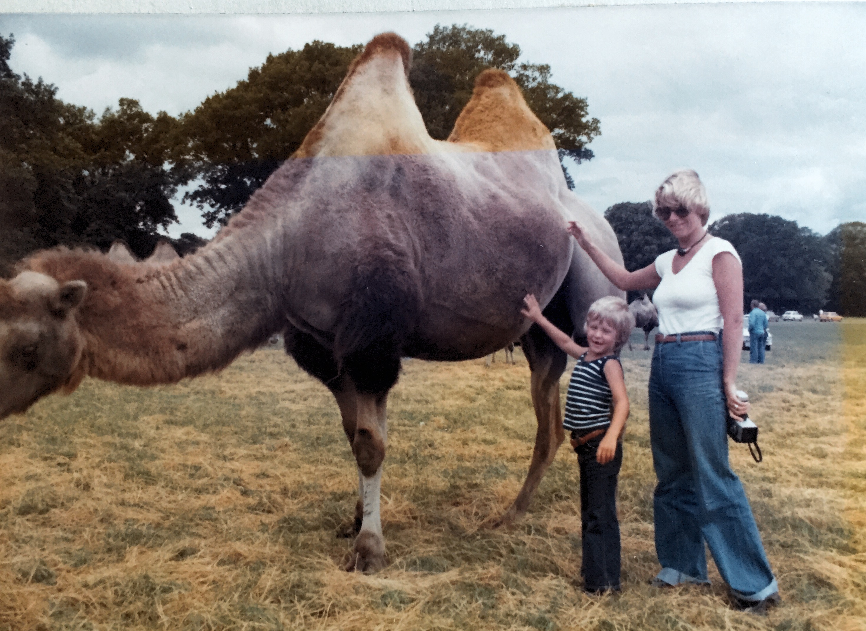 Knuthenborgs safaripark 1976