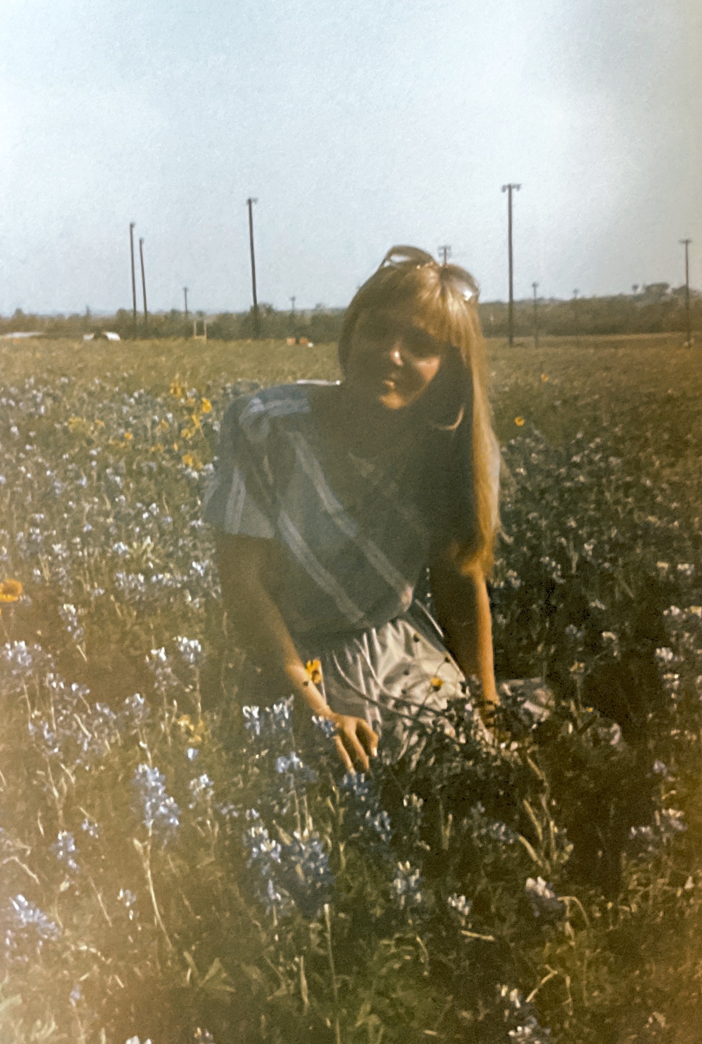 Caught in the bluebonnets - 1984