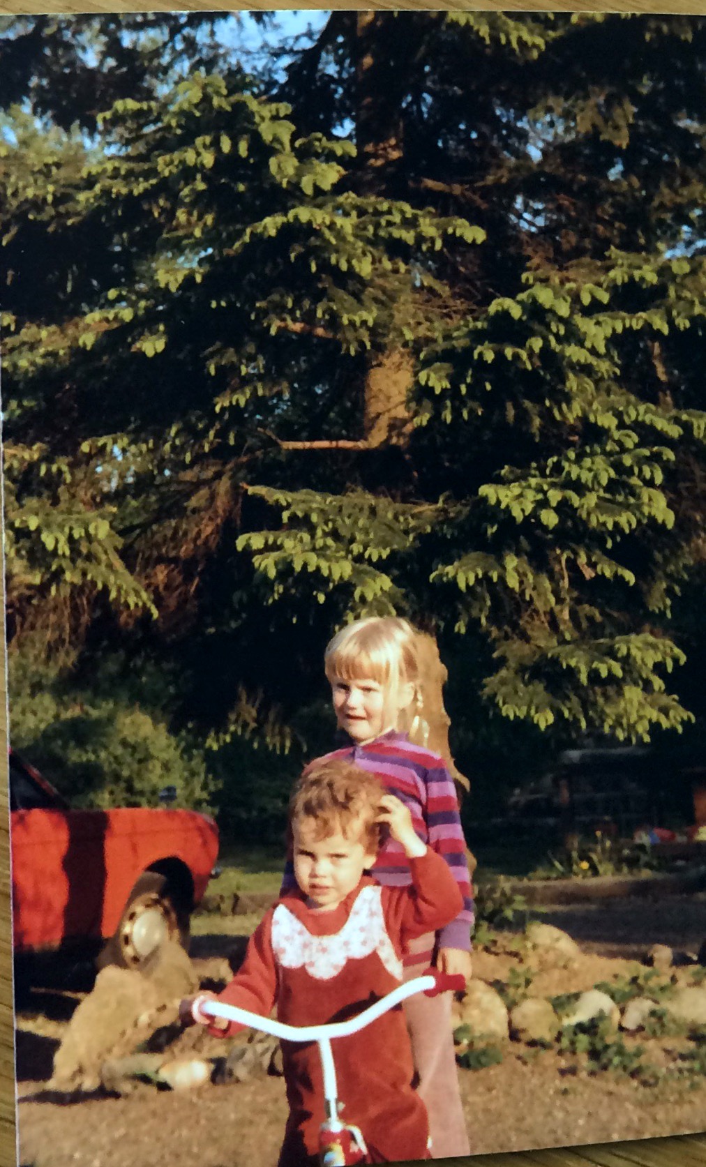 Kusine Anna og Anne 1981