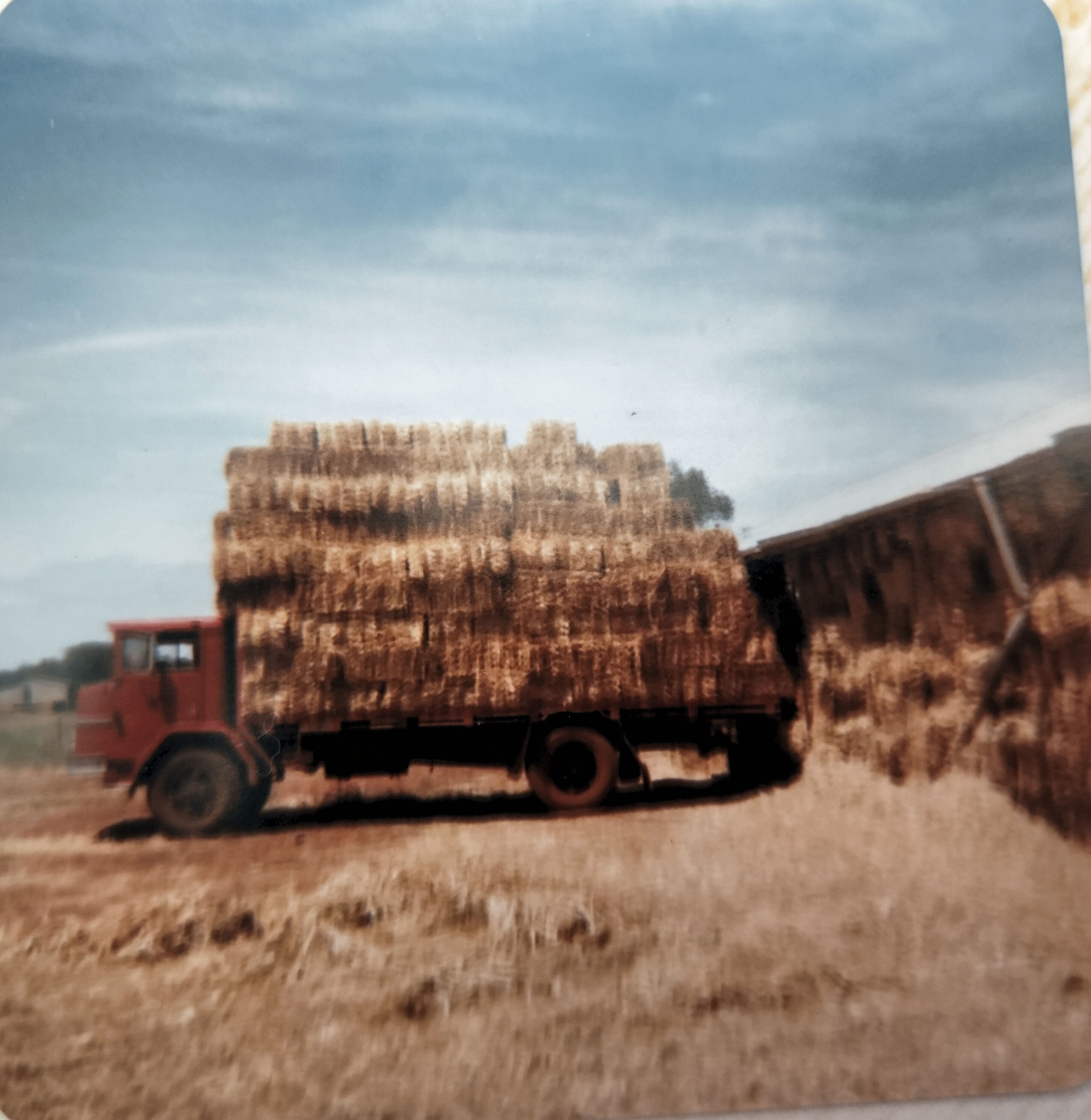 Hay carting 1983