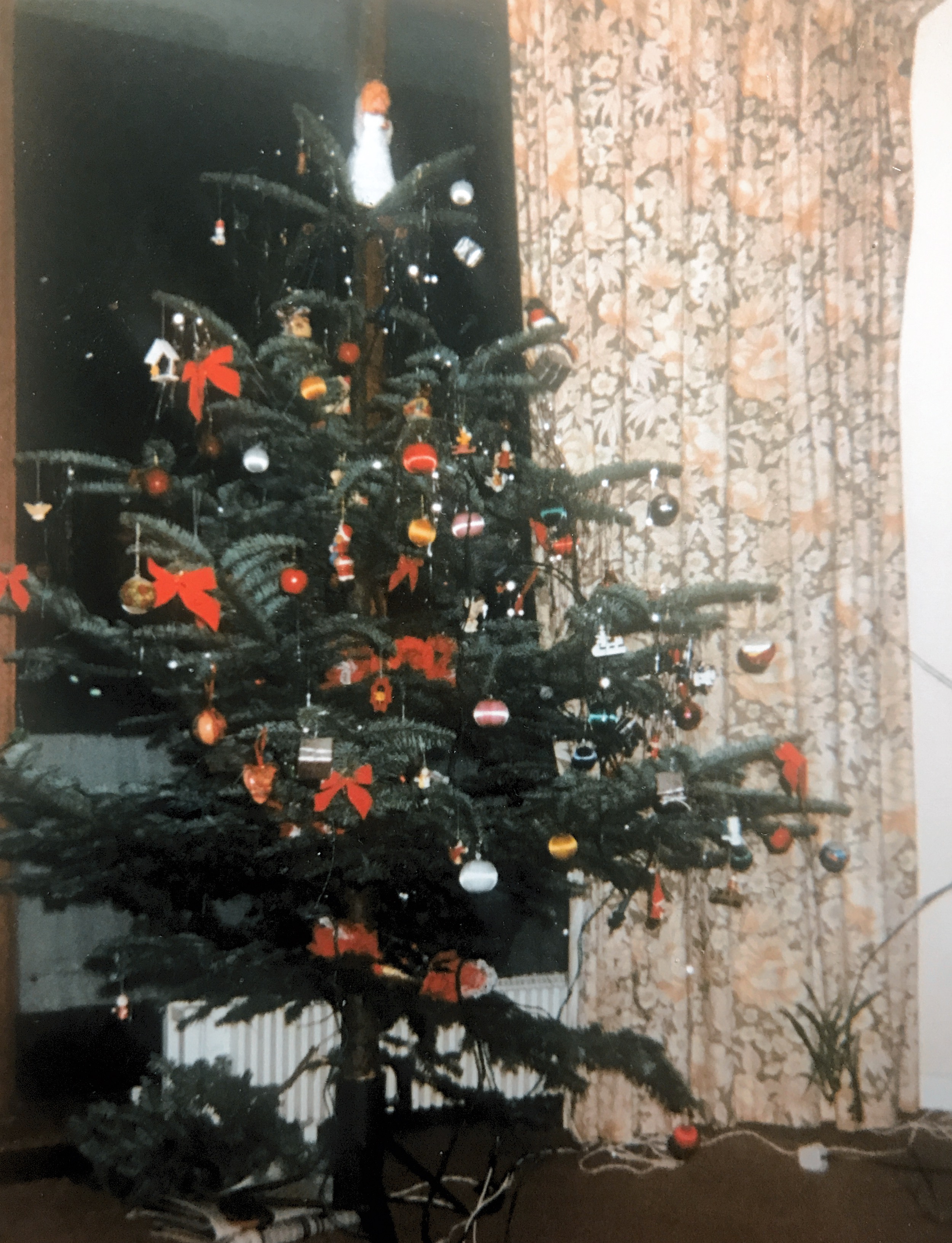 Chris Christmas about 1994