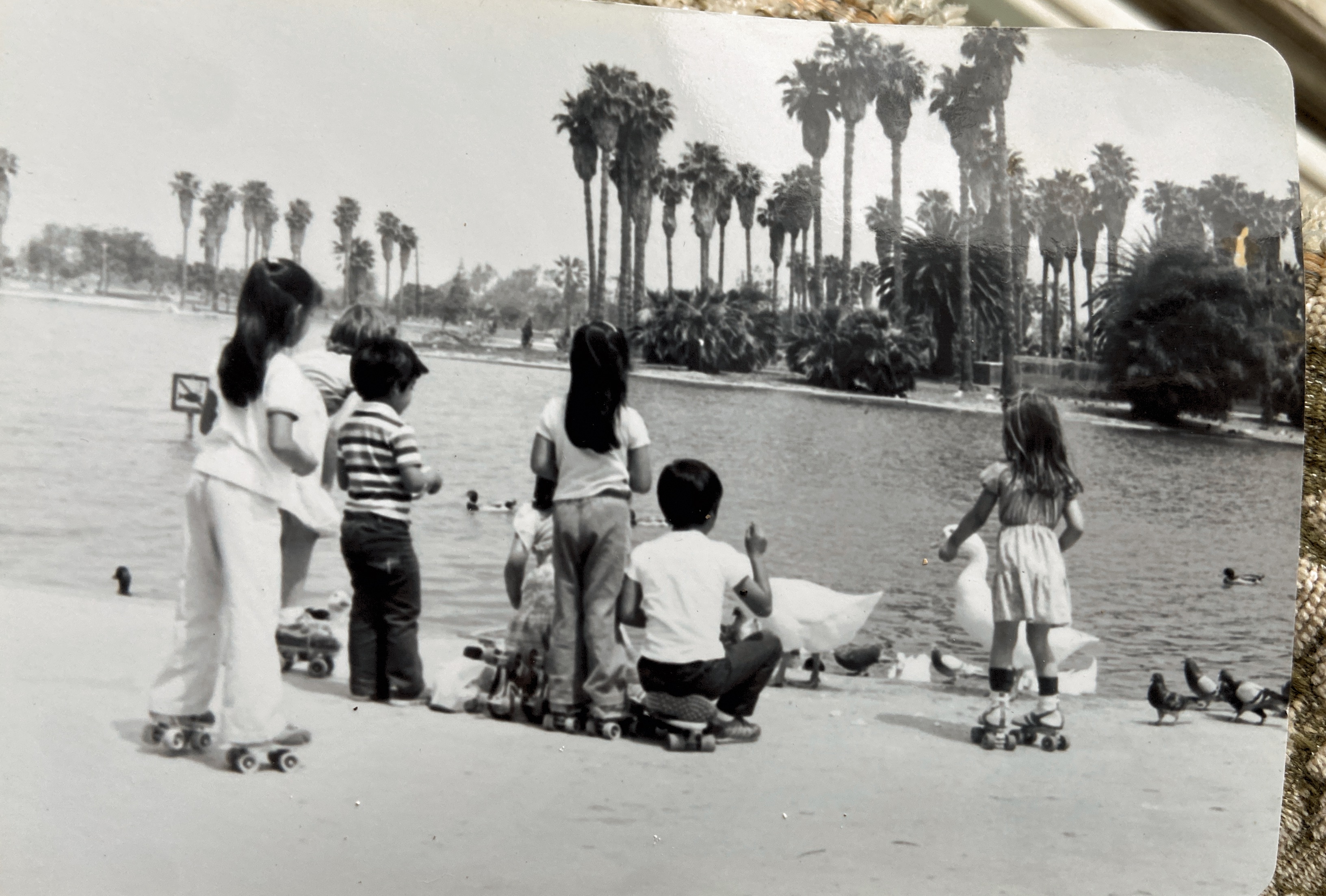 1980- Alondra park. On roller skates feeding fowl.