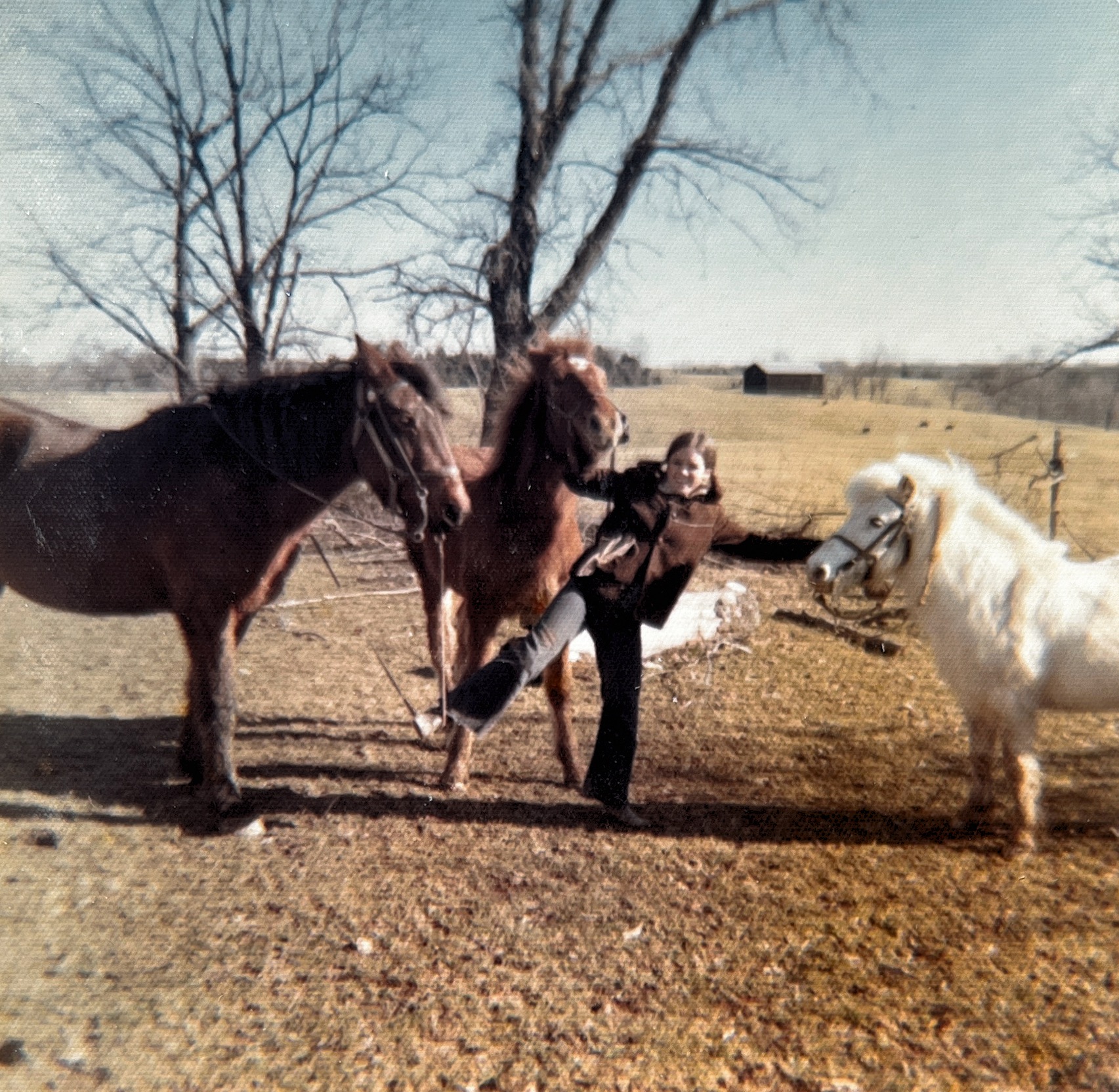 Winter of 1969 in Mercer County, Martha Short handling Chico, Silver and Carousel Star