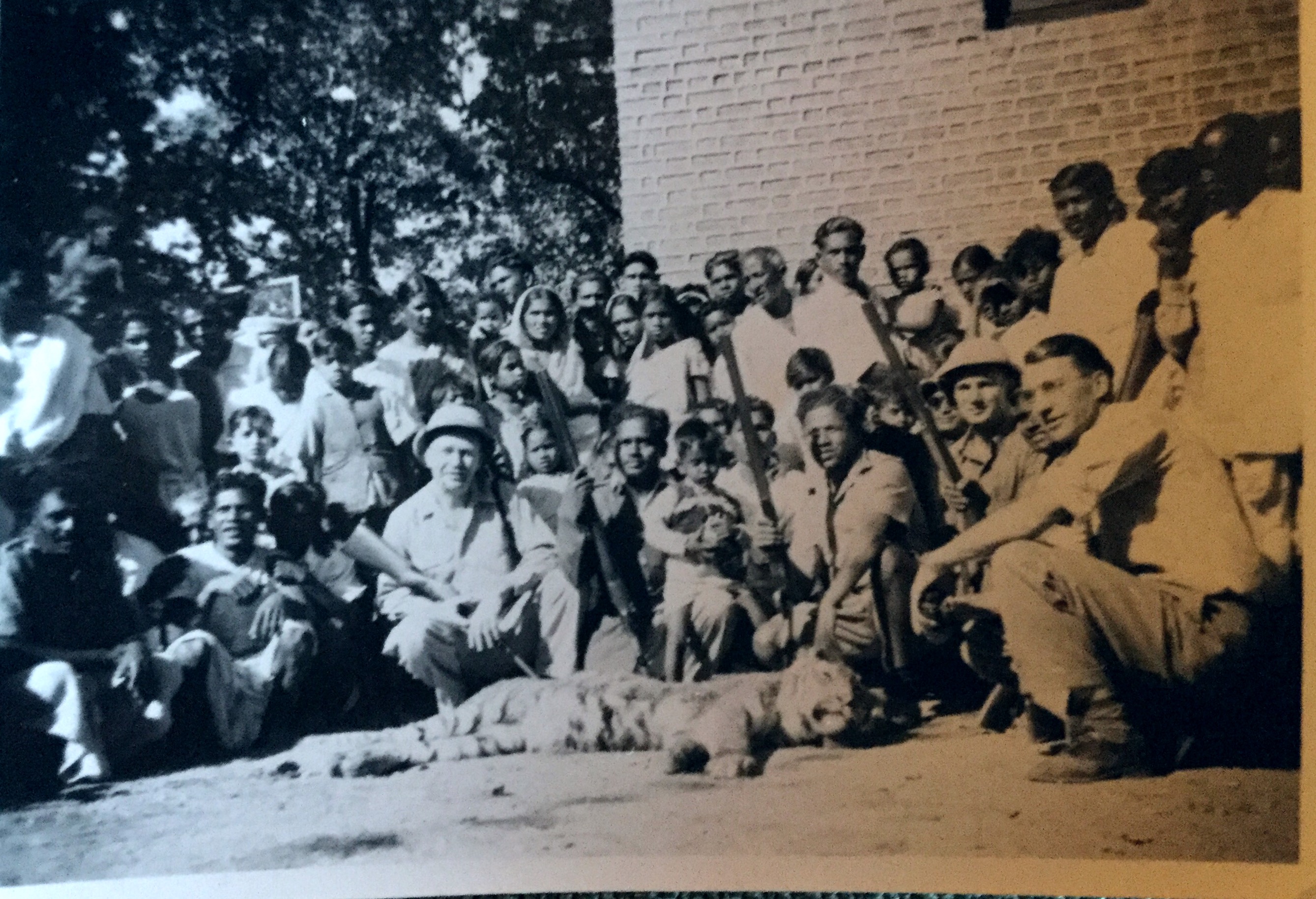 Tiger hunt in 1950 in India when M9m and Dad attended the 50th anniversary of the leper work in Champa.