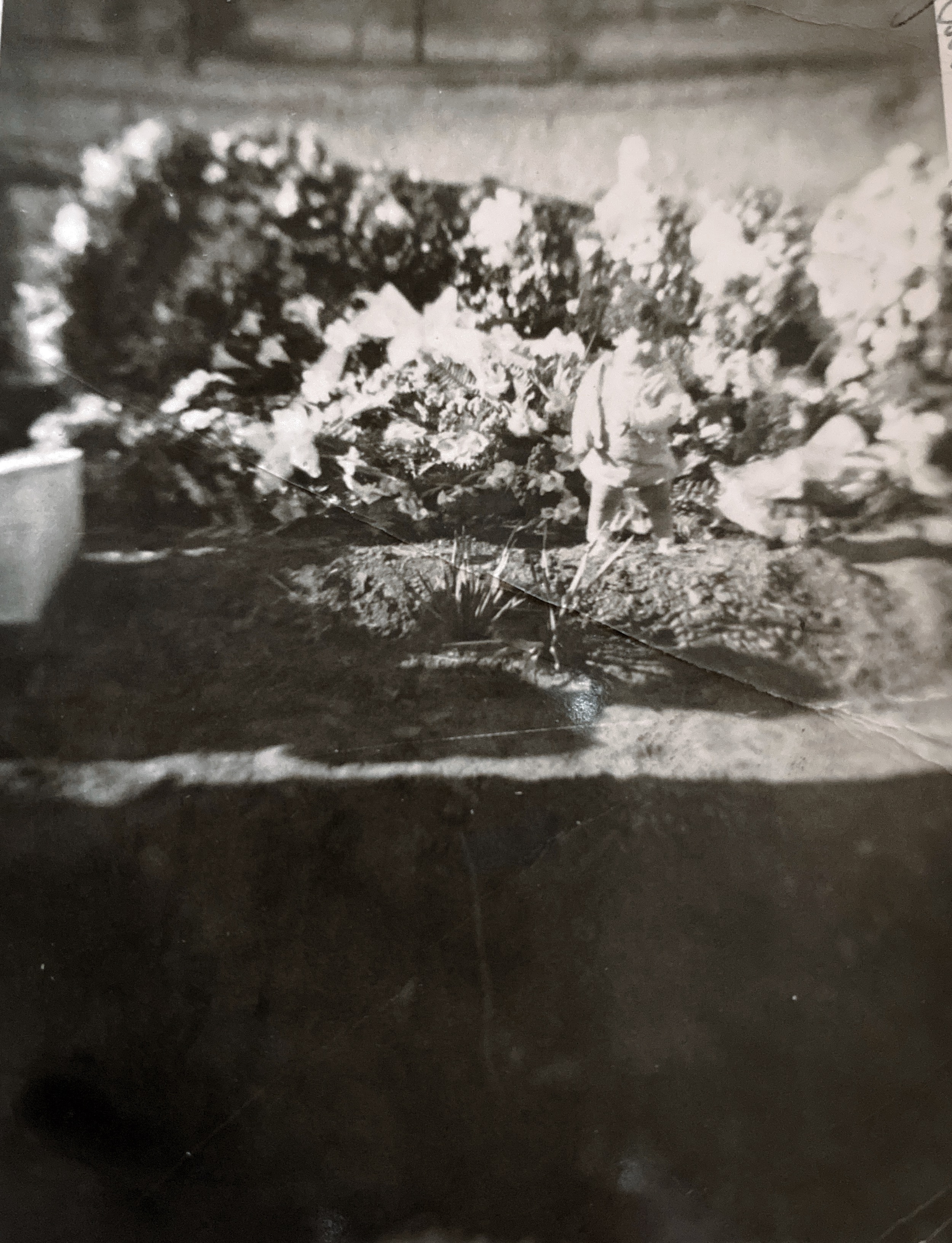 Wayne Scott at Aunt Bob Cowley’s Grave-1945