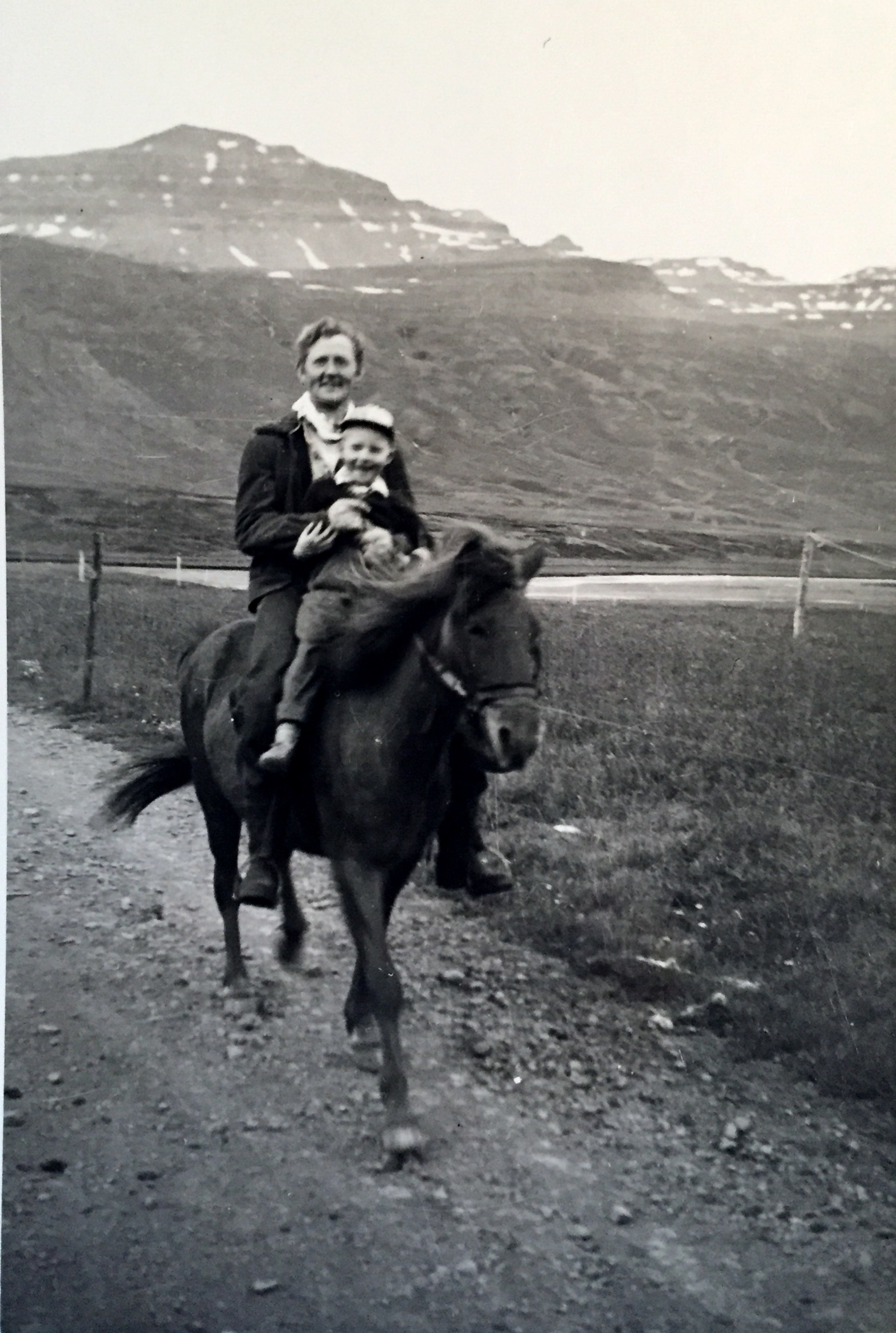 Reiðrút á Tunguholti 1960 með Vilhjálmi í Tungu